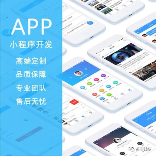 开发一款社交app软件要多少钱