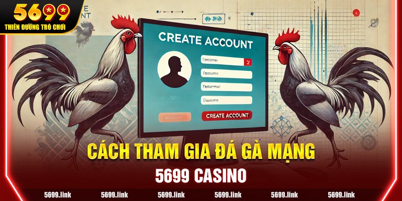 Cách tham gia chơi đá gà mạng cho người mới